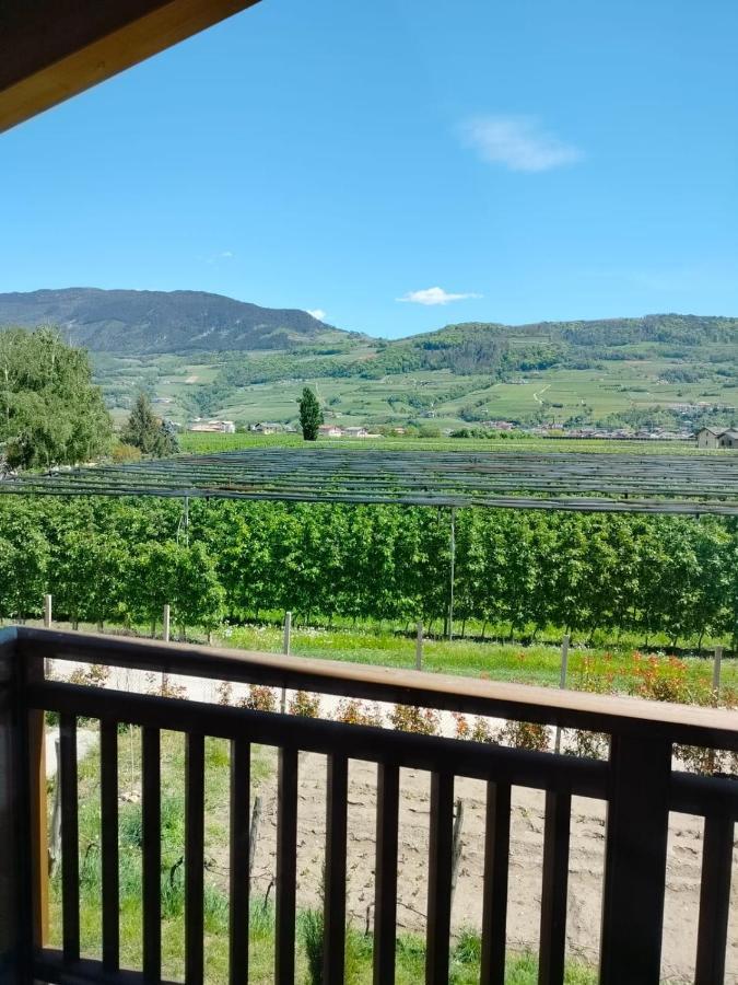 Agritur Lavanda Nave San Rocco Dış mekan fotoğraf