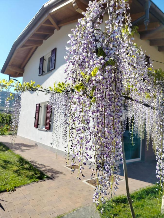 Agritur Lavanda Nave San Rocco Dış mekan fotoğraf