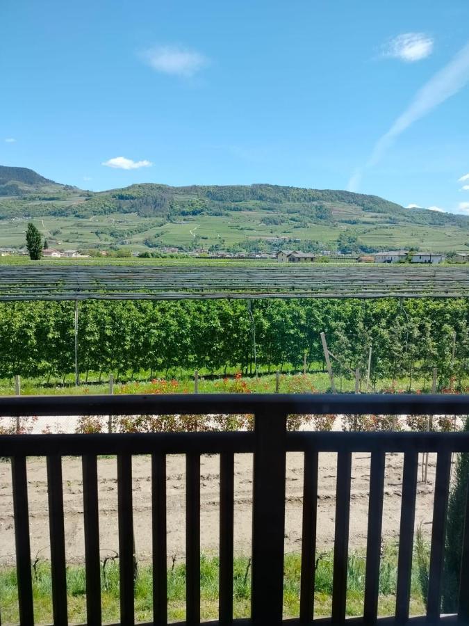 Agritur Lavanda Nave San Rocco Dış mekan fotoğraf